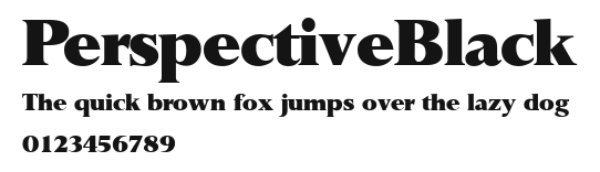 PerspectiveBlack Preview