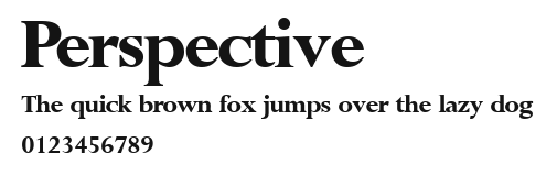 Perspective Preview