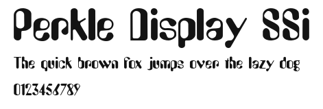 Perkle Display SSi Preview