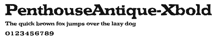 PenthouseAntique-Xbold Preview