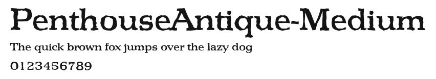 PenthouseAntique-Medium Preview