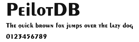 PeilotDB Preview
