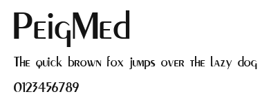 PeigMed Preview