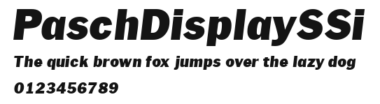 PaschDisplaySSi Preview