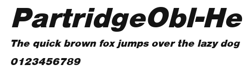 PartridgeObl-He Preview