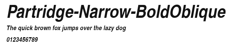 Partridge-Narrow-BoldOblique Preview