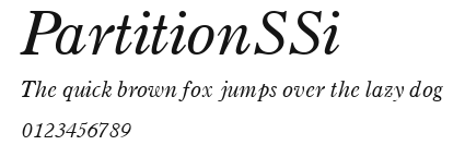 PartitionSSi Preview