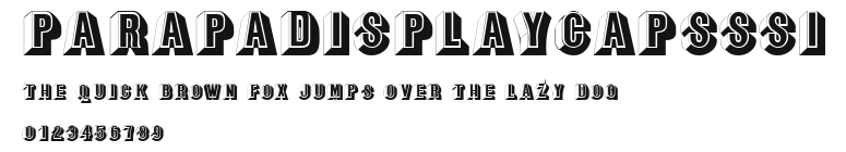 ParapaDisplayCapsSSi Preview