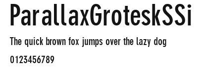 ParallaxGroteskSSi Preview