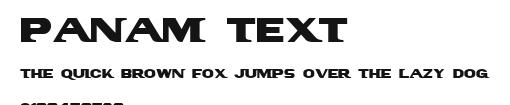 PanAm Text Preview