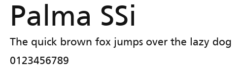 Palma SSi Preview