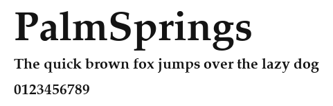 PalmSprings Preview