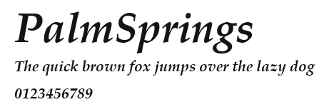PalmSprings Preview