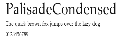 PalisadeCondensed Preview