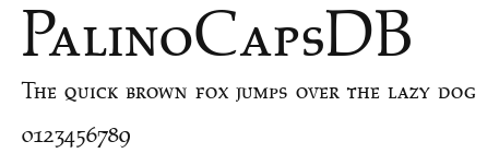 PalinoCapsDB Preview