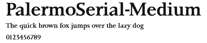 PalermoSerial-Medium Preview