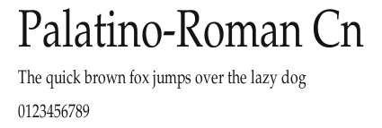 Palatino-Roman Cn Preview