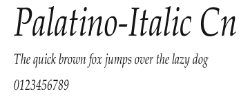 Palatino-Italic Cn Preview