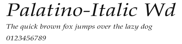 Palatino-Italic Wd Preview