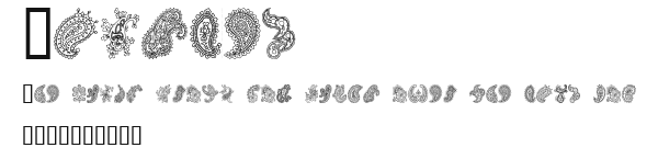 Paisley Preview