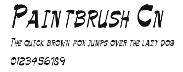 Paintbrush Cn Preview