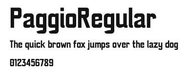 PaggioRegular Preview