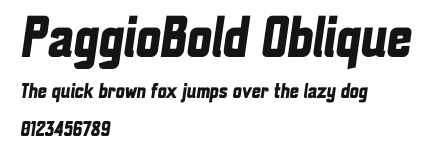 PaggioBold Oblique Preview