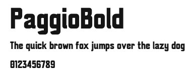 PaggioBold Preview