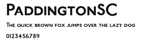 PaddingtonSC Preview