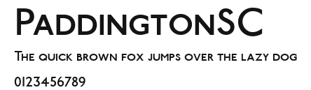 PaddingtonSC Preview