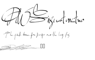 PWSignaturetwo Preview