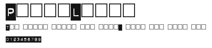 PunchLabel Preview