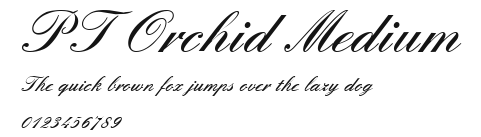 PT Orchid Medium Preview