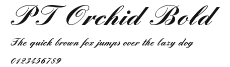 PT Orchid Bold Preview