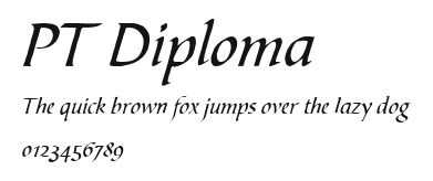 PT Diploma Preview