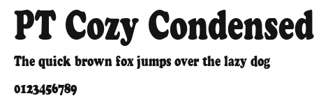 PT Cozy Condensed Preview