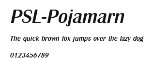 PSL-Pojamarn Preview