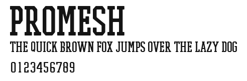 PROMESH Preview