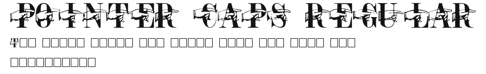 POINTER CAPS REGULAR Preview