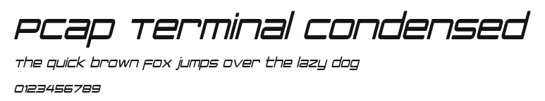 PCap Terminal Condensed Preview