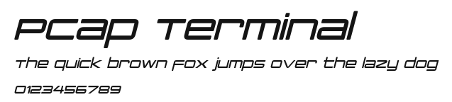 PCap Terminal Preview