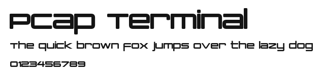PCap Terminal Preview