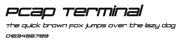 PCap Terminal Preview