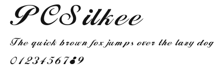 PCSilkee Preview