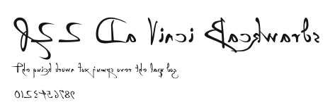 P22 Da Vinci Backwards Preview