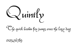 Quintly Preview