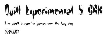Quill Experimental S BRK Preview
