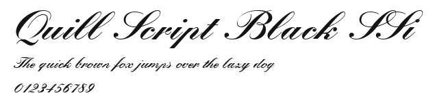 Quill Script Black SSi Preview