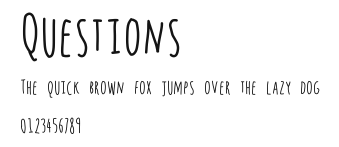 Questions Preview