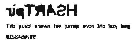 ripTRASH Preview